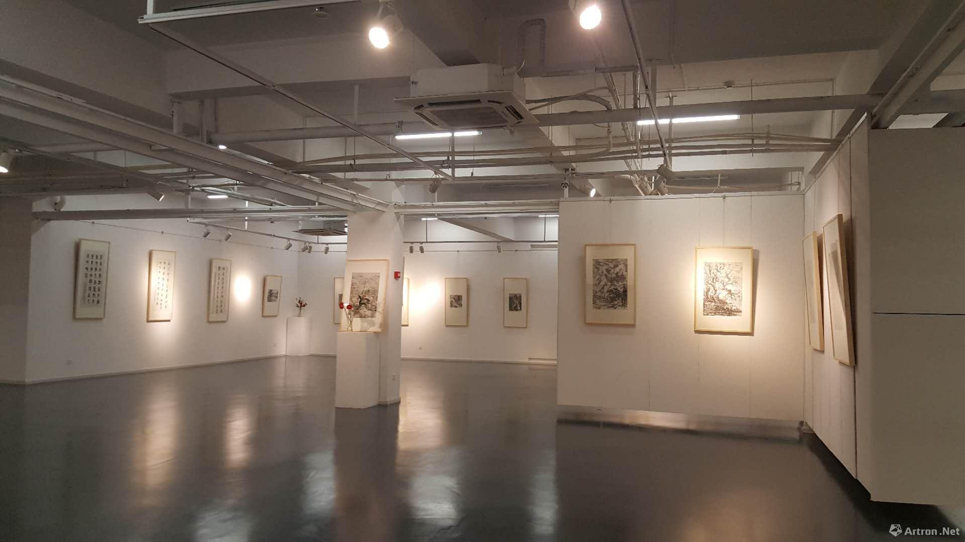 张楠书画艺术展江虹艺术馆揭幕