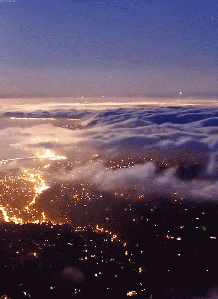 440_602竖版 竖屏gif 动态图 动图