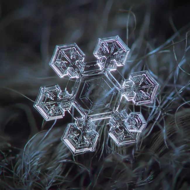 无知限制了我的想象,摄影师用9年时间拍摄雪花,美的一