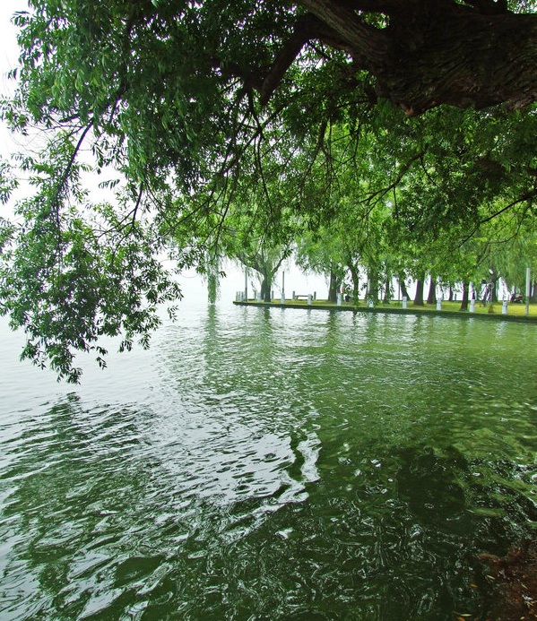 东湖听涛景区