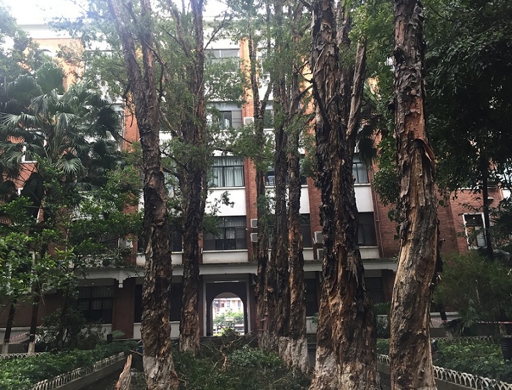 11-06 21:14  ()   看官,当您走进广州美院昌岗东路老校区的时候,一
