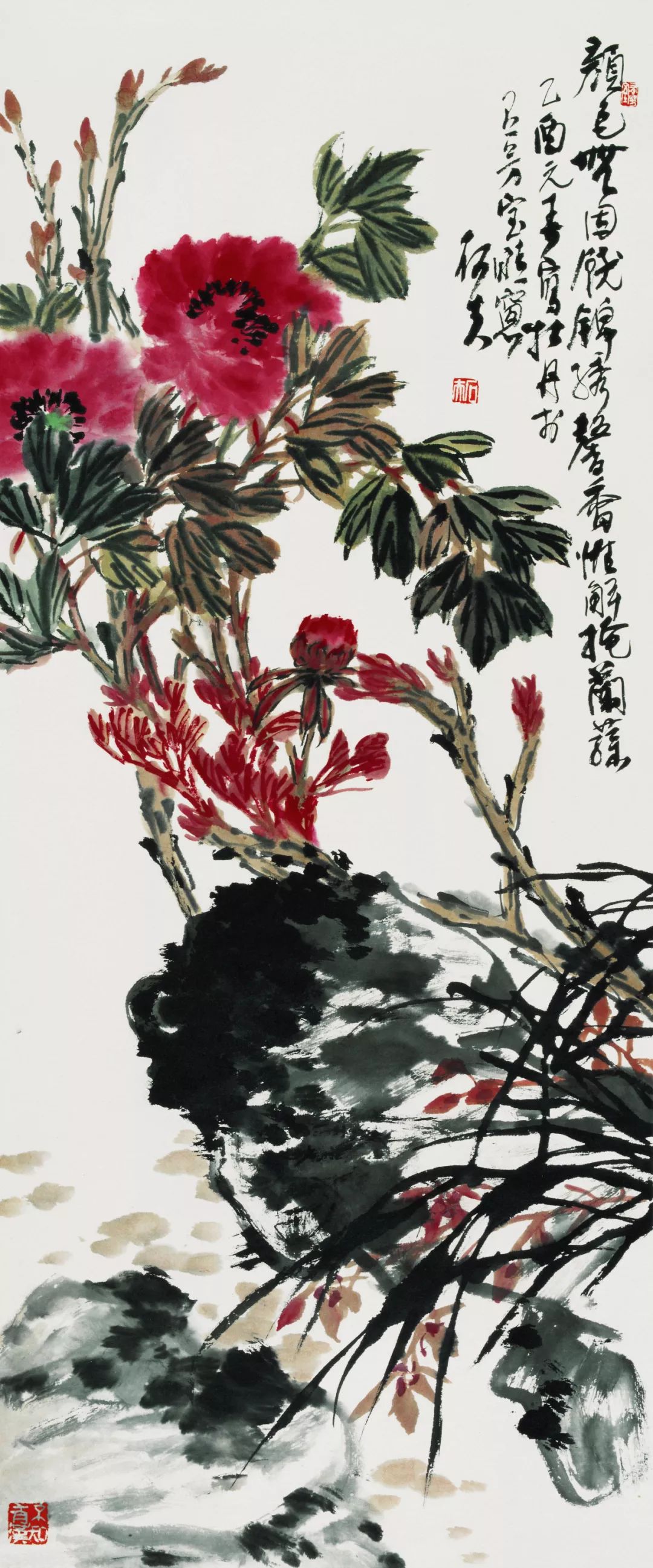 郭石夫先生的花鸟画,博综集粹,渊源广大,由近现代之吴昌硕,潘天寿