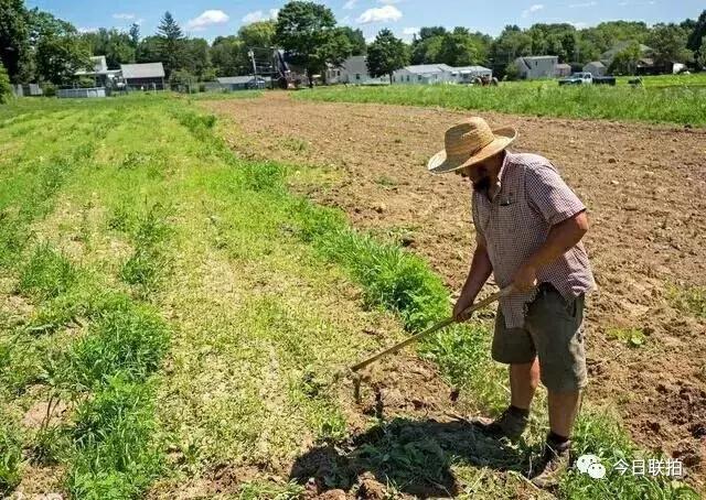 蜀地遗珍:农民一锄头挖出整窖精美宋瓷,震惊全国文物