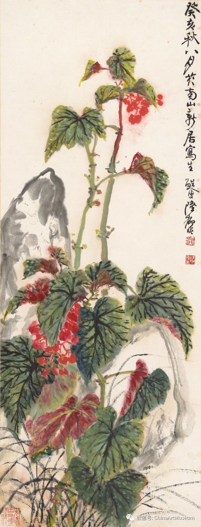 陆抑非《春阳娇姿(竹节海棠图)》