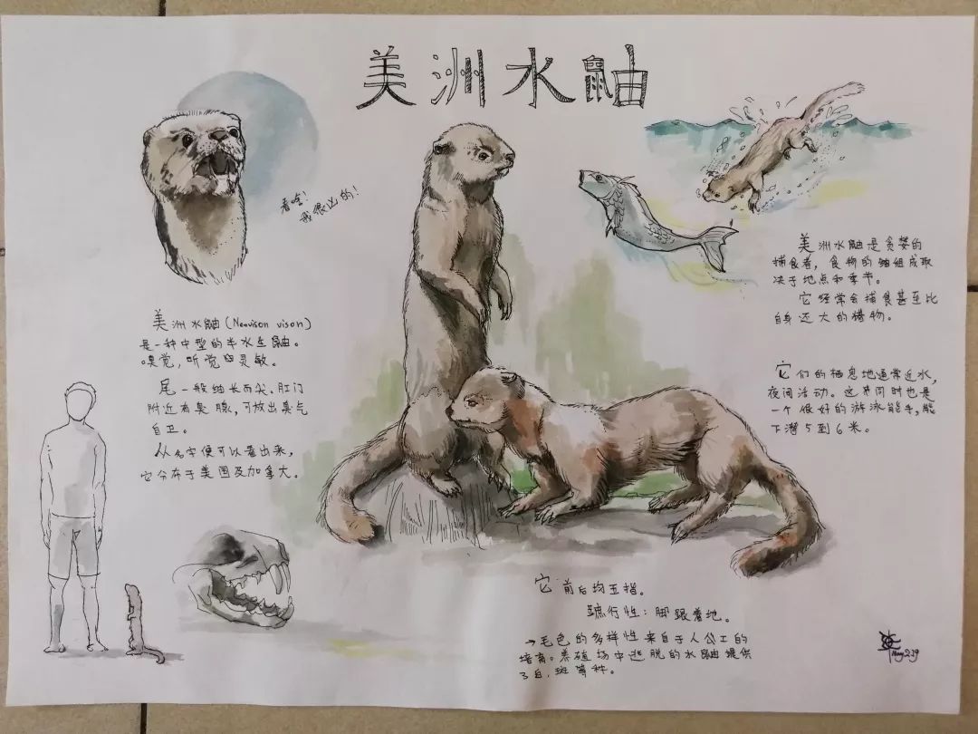 环球自然日 | 绘画决赛优秀作品都长什么样?看这篇就
