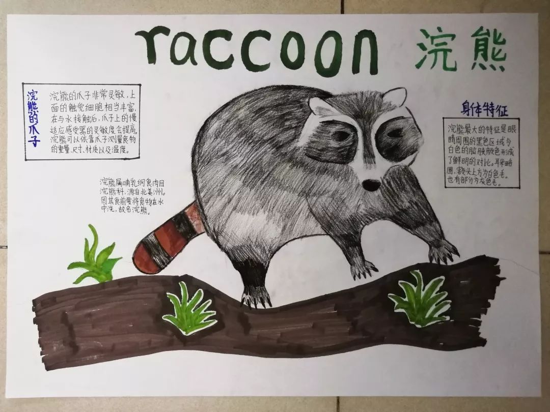 环球自然日 | 绘画决赛优秀作品都长什么样?看这篇就