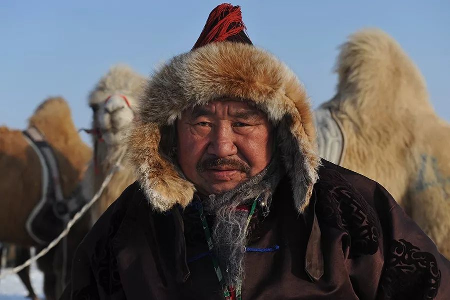 故乡的路 |《蒙古人的伙伴》:呼伦贝尔草原上的生灵们