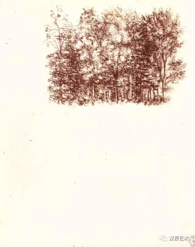 桦木林素描 达芬奇