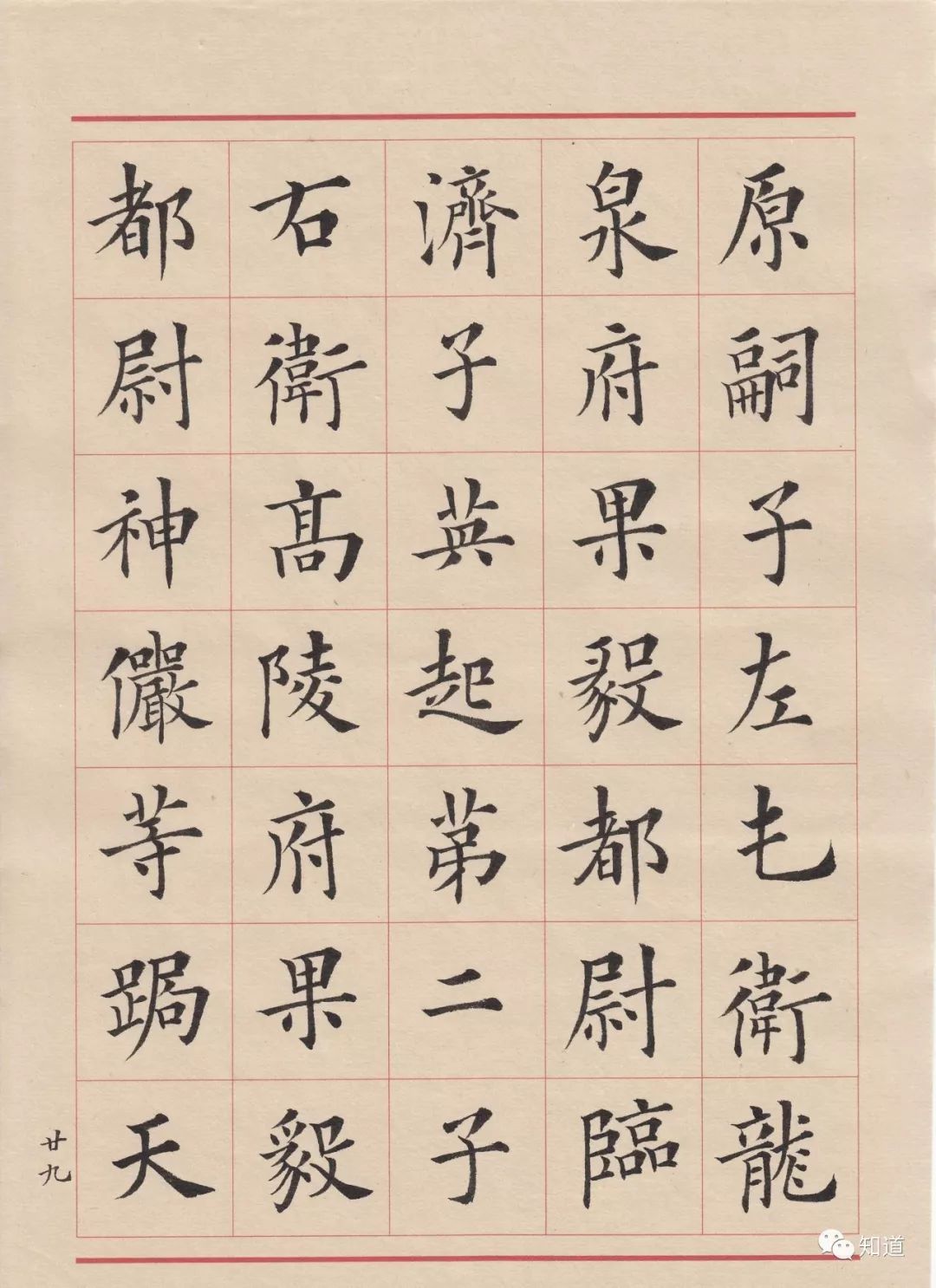 知道书画 戴卫华 临《丘师墓志》其六