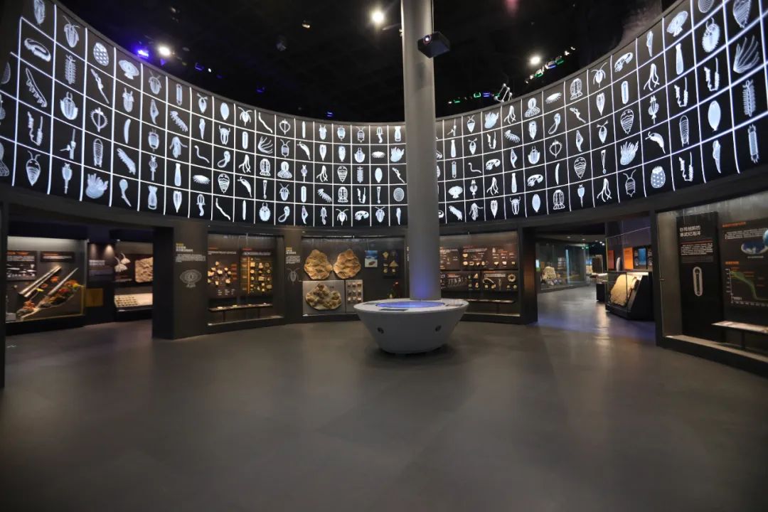 天津国家海洋博物馆基本陈列    天津国家海洋博物馆