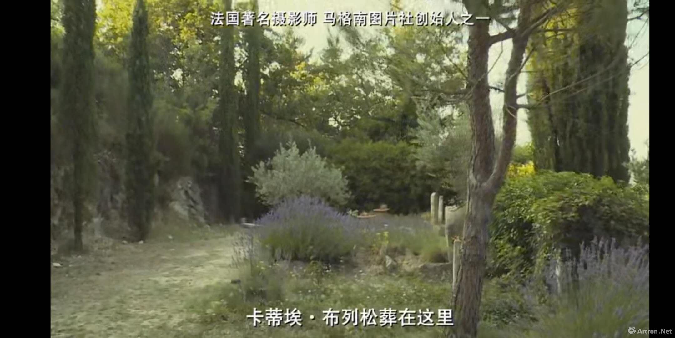 别了，阿涅斯·瓦尔达