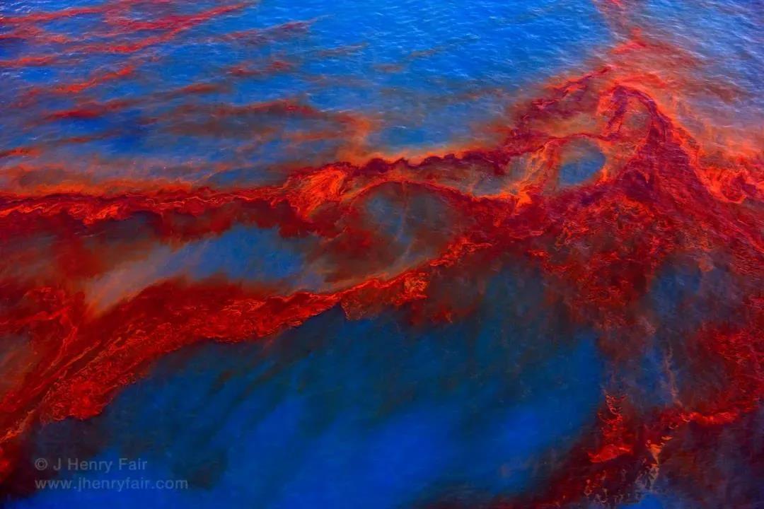 他拍下当时的海洋 红色的油彩宛如海洋的鲜血 无数海洋生物因此死亡