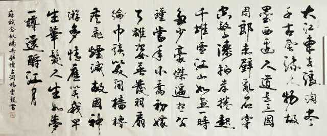 著名书法家杨云龙作品欣赏