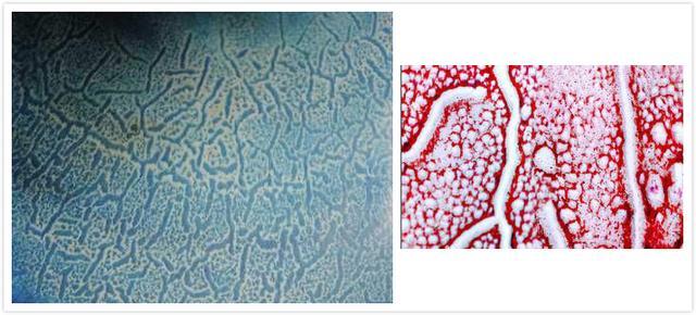 黄金有价钧无价：钧窑瓷器的辨认与收藏潜力