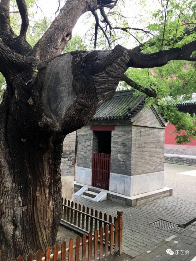 河朔名寺正定隆兴寺的大佛与石雕力士:大佛分享